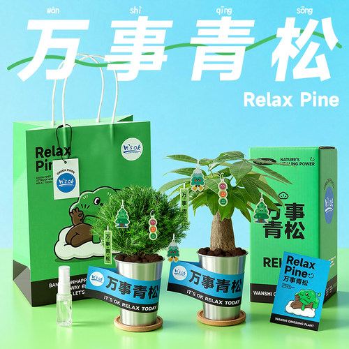 放青松雾凇小盆栽生日礼物伴手礼