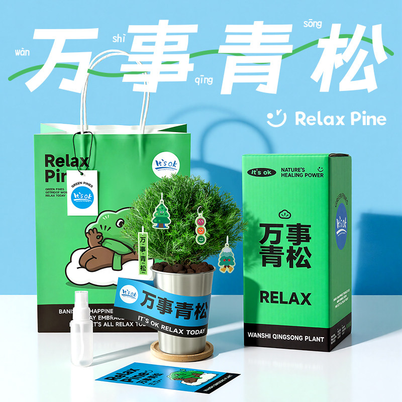 放青松雾凇小盆栽植物办公室桌面工位绿植解压摆件生日礼物伴手礼,节庆用品/礼品,创意礼盒/礼品套组,淘宝优惠券,粉丝福利购,淘宝优惠卷