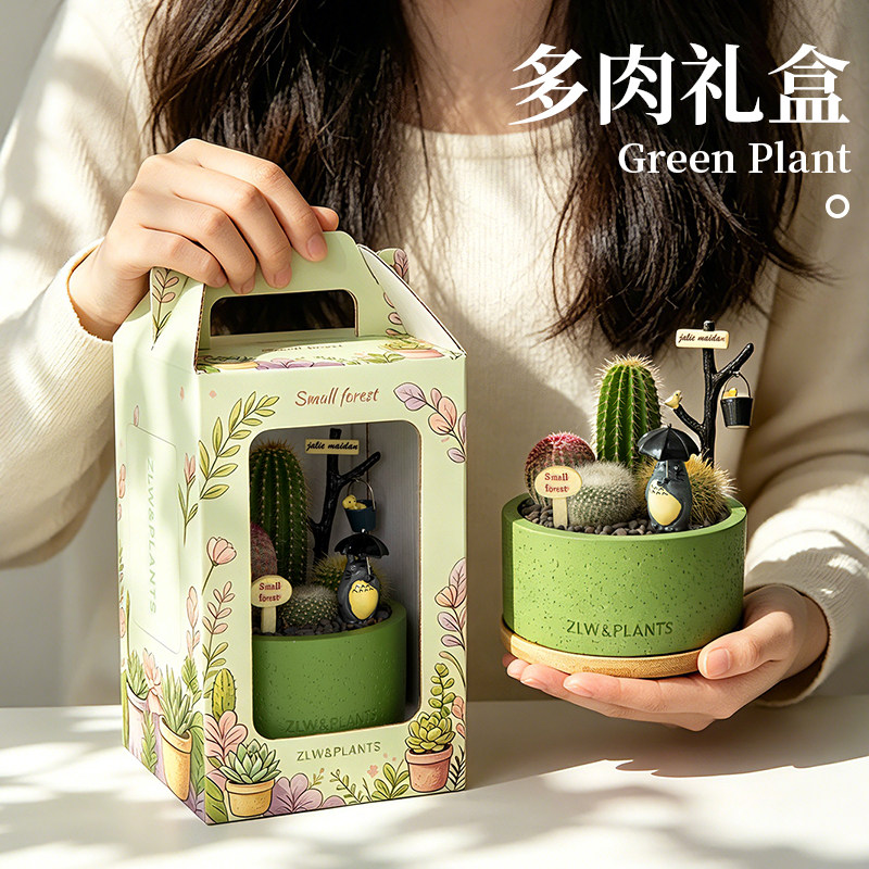 教师节礼物仙人掌植物组合多肉礼盒生日礼物办公室绿植桌面礼品