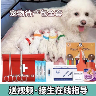 宠物待产包猫咪接生工具包吸羊水狗狗接生套装猫咪狗狗生产用品包