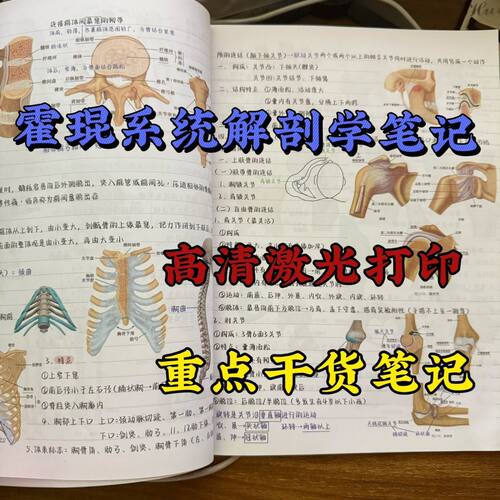 【现货速发】升级版霍琨系统解剖学笔记本彩色打印胶装笔记本