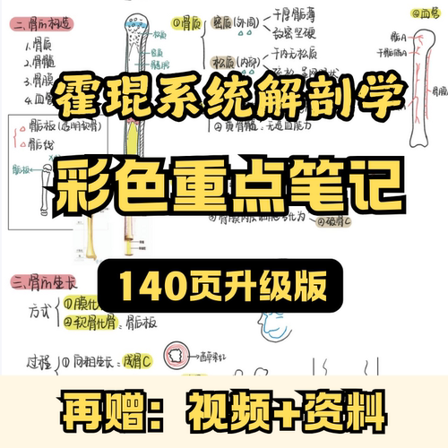 霍琨系统解剖学医学生考试笔记学霸彩色笔记本手写高分总结通用