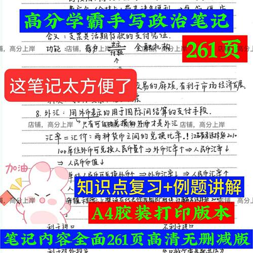 高中复习资料政治手写笔记复习笔记本新版手写高考政治知识笔记本