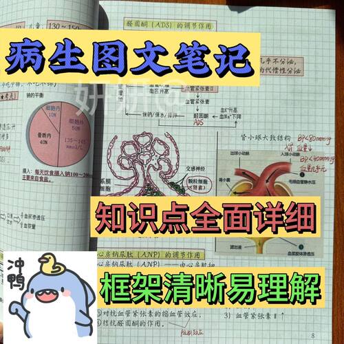 纸质版景晴病生图文学习笔记讲义病生知识点总结复习笔记本