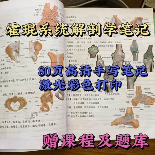 【现货速发】升级版霍琨系统解剖学笔记本彩色打印胶装笔记本