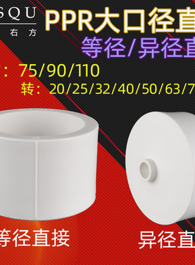 75/90/110PPR等径直接热熔变20/25/32/40/50/63ppr大小头水管配件