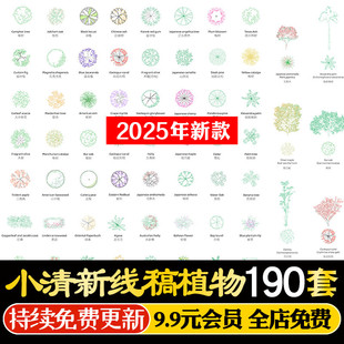 彩色线稿风PS植物树带名称ai矢量顶视图银杏月季鸡爪槭蓝花楹樱花