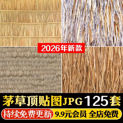 乡村茅草屋面屋顶贴图 干草干枯稻草茅草顶生态屋顶SU材质ps素材