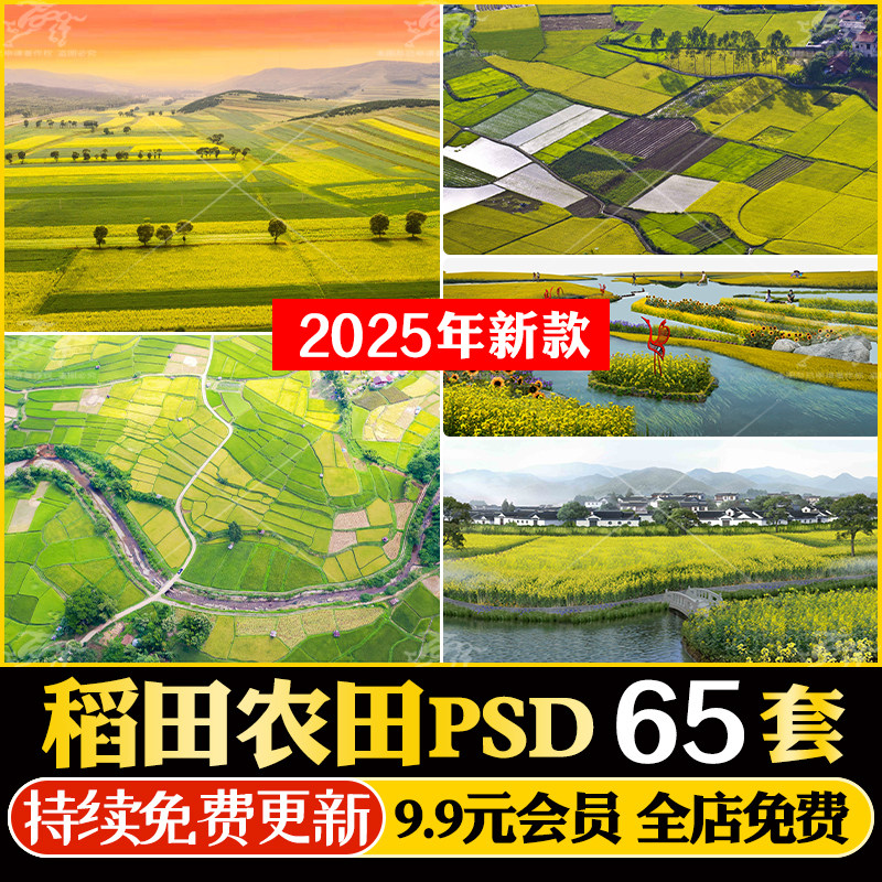 PS稻田农田景观美丽乡村田园风光规划田野鸟瞰效果图psd分层素材