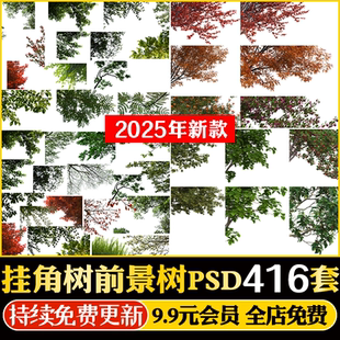 园林景观建筑效果图后期前景树挂角树ps素材树枝乔木植物psd免抠