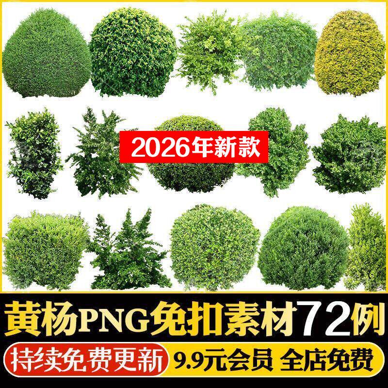 园林景观PS黄杨球绿篱灌木球修剪龟甲冬青千头柏PNG高清植物素材