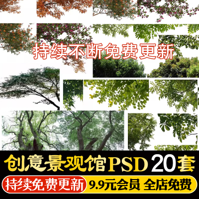 园林景观建筑效果图后期前景树挂角树ps素材树枝乔木植物psd免抠