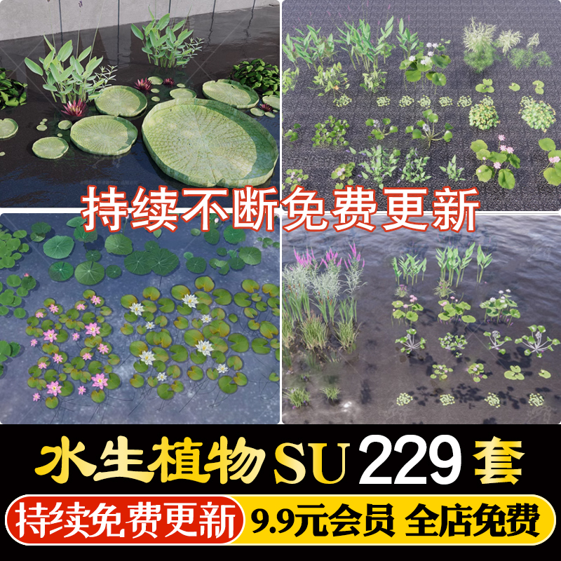 生态湿地滨水公园水生植物鱼池池塘睡莲荷花荷草本草图大师SU模型