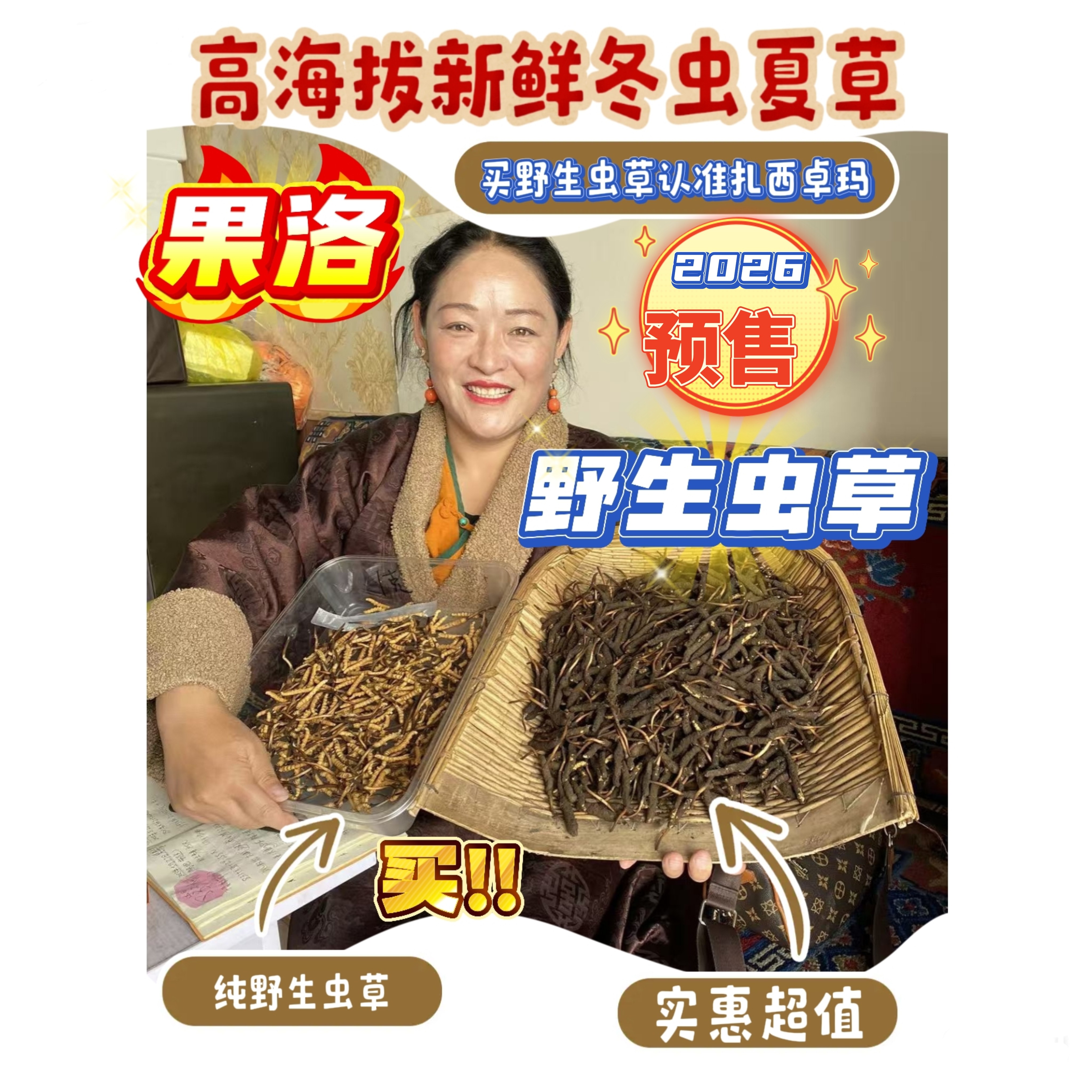 断草含草头26年新鲜冬虫夏草果洛高海拔野生鲜虫草产地现挖头期草