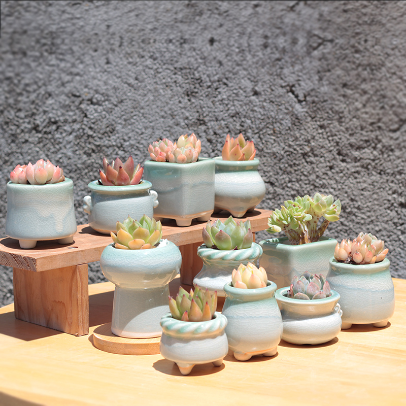 新款多肉陶瓷冰裂清新创意中等大小植物透气花卉桌面阳台组合包邮