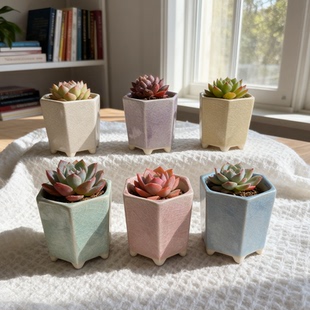 多肉花盆陶瓷迷你植物花器个性创意花盆冰裂多肉小六方花盆拇指盆