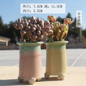 老桩渐变色冰裂桃蛋小杆杆