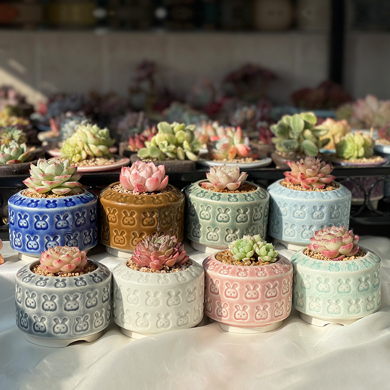 陶瓷简约多肉花盆窝口小兔子盆