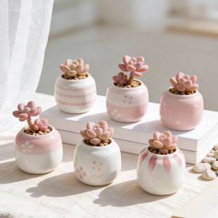 陶瓷多肉花盆创意可爱圆形小花盆彩绘手绘办公室桌面装饰老桩盆栽