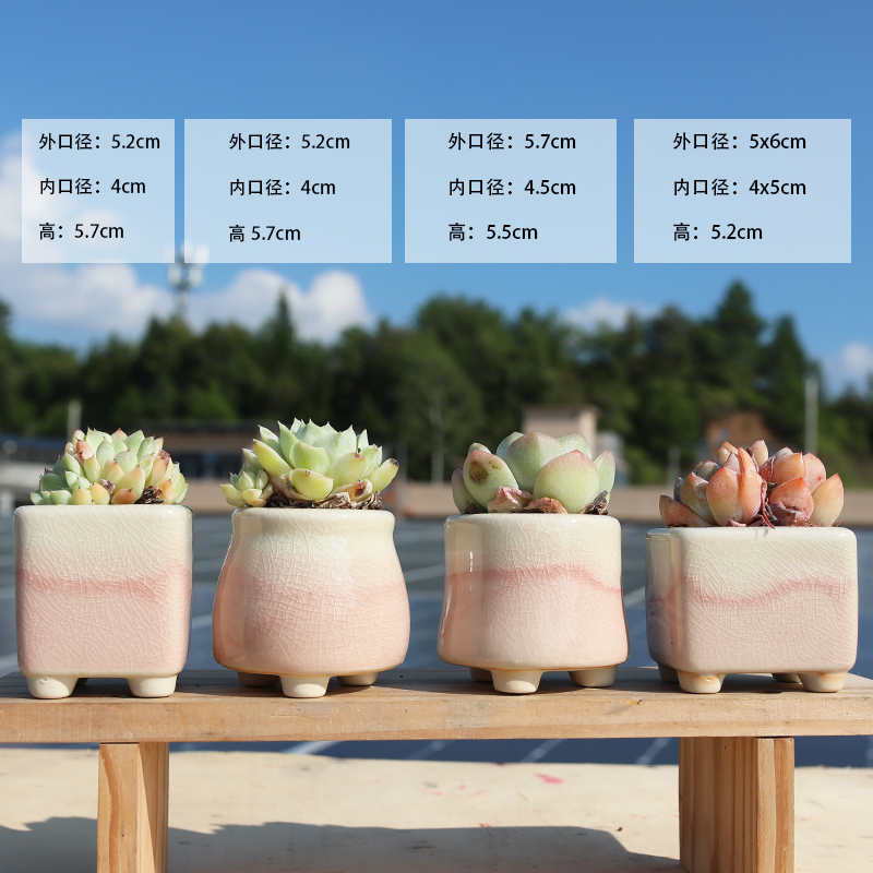 简约小花盆多肉陶瓷拇指盆
