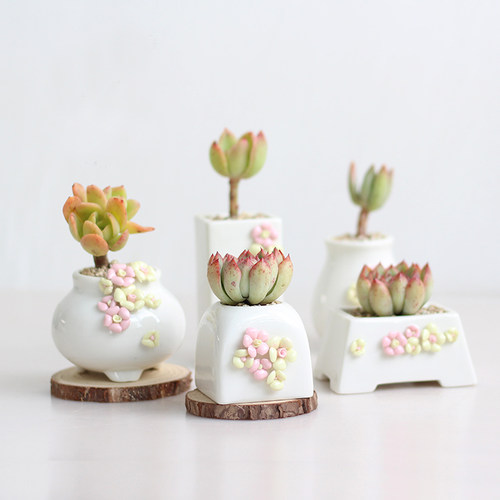 白瓷迷你小号法师清新控型花盆