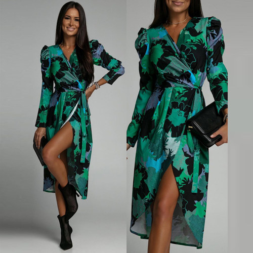 Long Sleeve V-Neck Fashion Print Dress 时尚V领时尚印花连衣裙