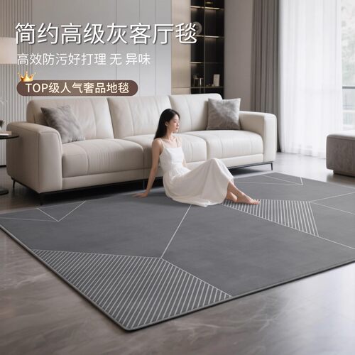 现代简约地毯客厅2025新款轻奢