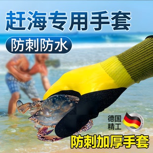 备工具防水防刺防夹沙滩捡螺海胆 赶海抓螃蟹手套成人儿童专用装
