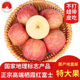 地理标志2025高端栖霞红富士山东烟台条纹苹果新鲜水果10斤顺丰