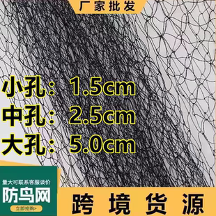 果园防鸟网樱桃葡萄果树防鸟网鱼塘养殖天网尼龙网防护网