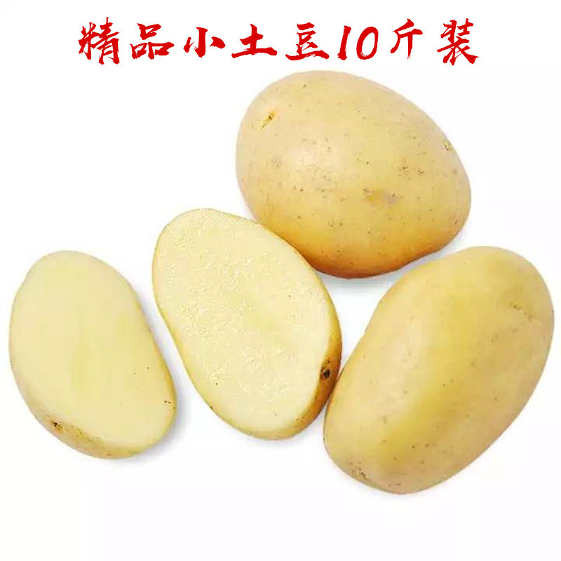 净重10斤小土豆新鲜包邮黄皮黄心山东土豆马铃薯洋芋现挖农家自种