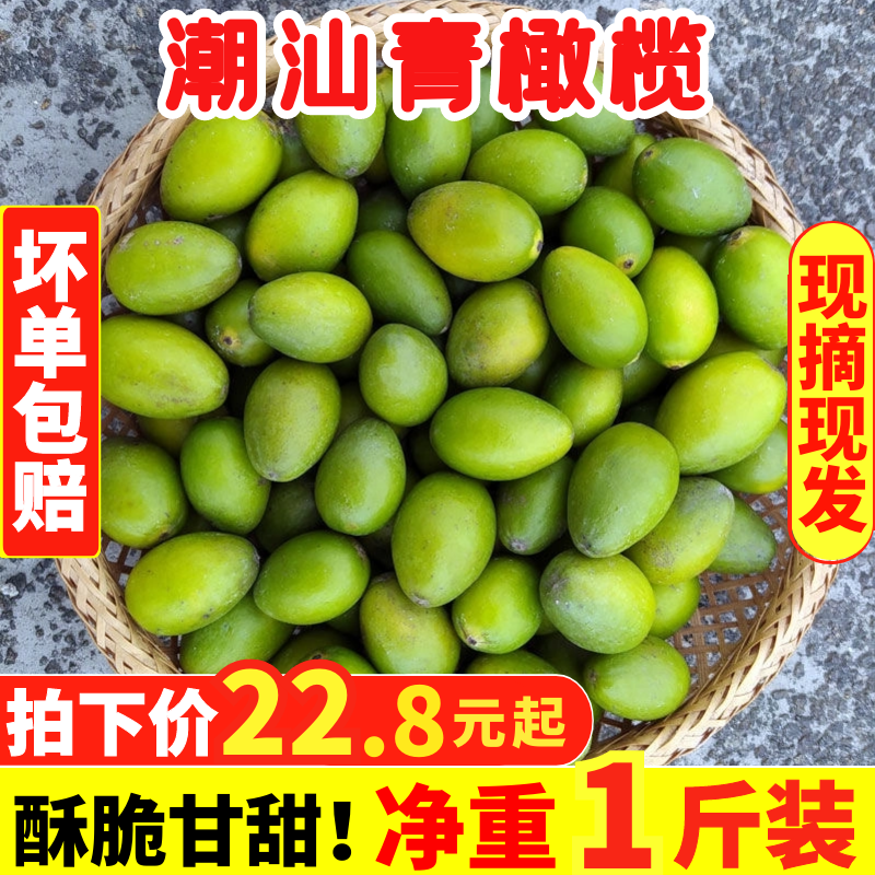 新鲜农家现摘潮汕纯甜青橄榄果脆甜无渣可口生吃煲汤孕妇水果1斤