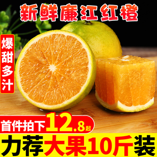 广东廉江红橙10斤新鲜橙子果冻当季水果整箱正宗红江橙特产包邮5