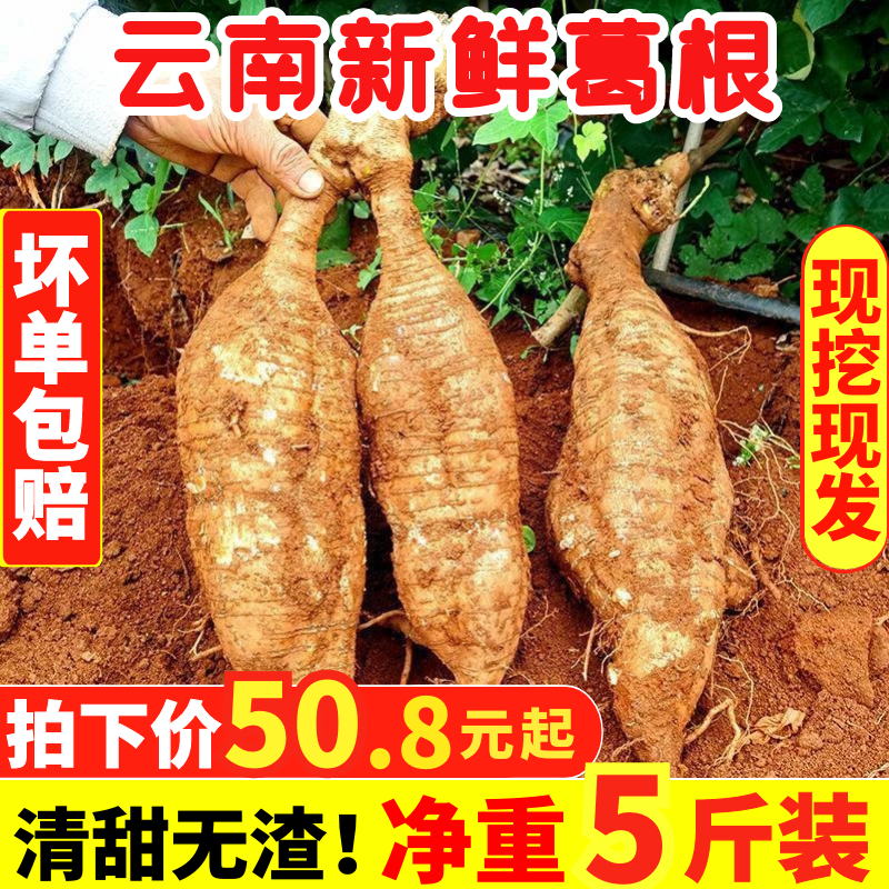 云南高原新鲜现挖葛根清甜回清热