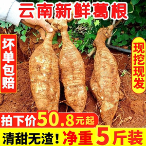 云南高原新鲜现挖葛根清甜回清热