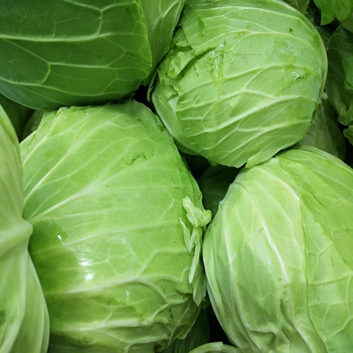 新鲜绿色农家菜卷心菜包心菜甘蓝菜洋白菜口感清脆露天种植净5斤