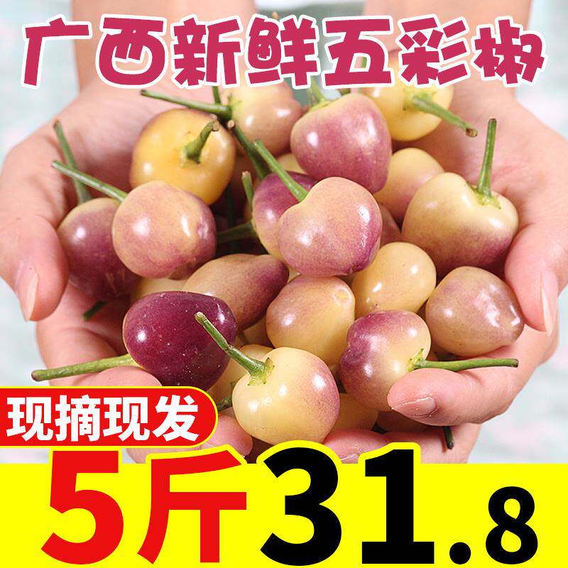 现摘广西七彩椒新鲜辣椒9斤蔬菜五彩椒泡椒小灯笼椒米椒包邮特10