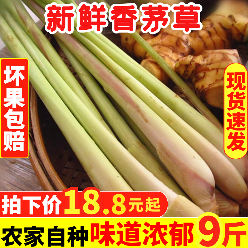 新鲜香茅草柠檬香茅9斤包邮奶茶店调料香料泰国冬阴功汤料柠檬草