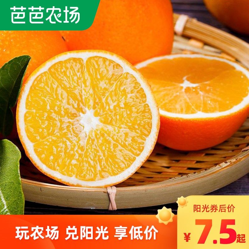 重庆奉节脐橙2/5/8斤酸甜可口新鲜水果橙子