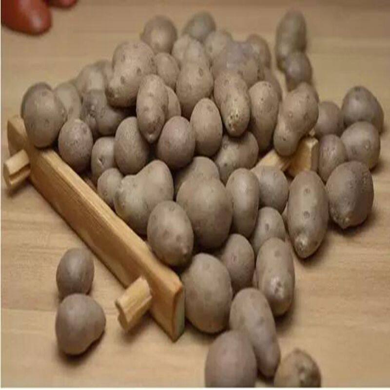 新鲜山药豆河南淮山山药豆山药蛋当季现挖口感软糯5斤包邮