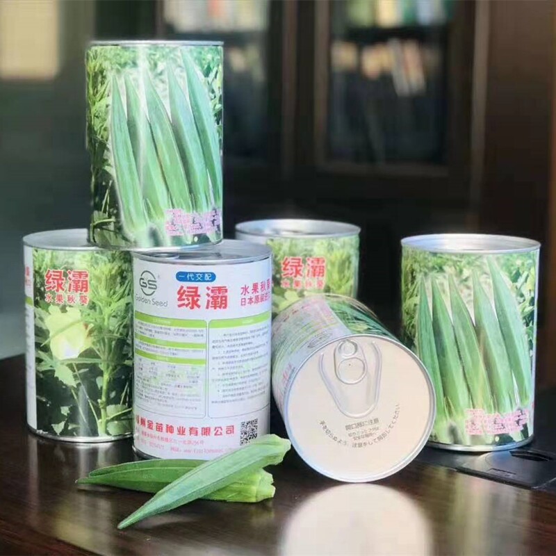 原装进口黄秋葵种孑籽爱木5号绿灞水果秋葵种子春秋阳台大田高产