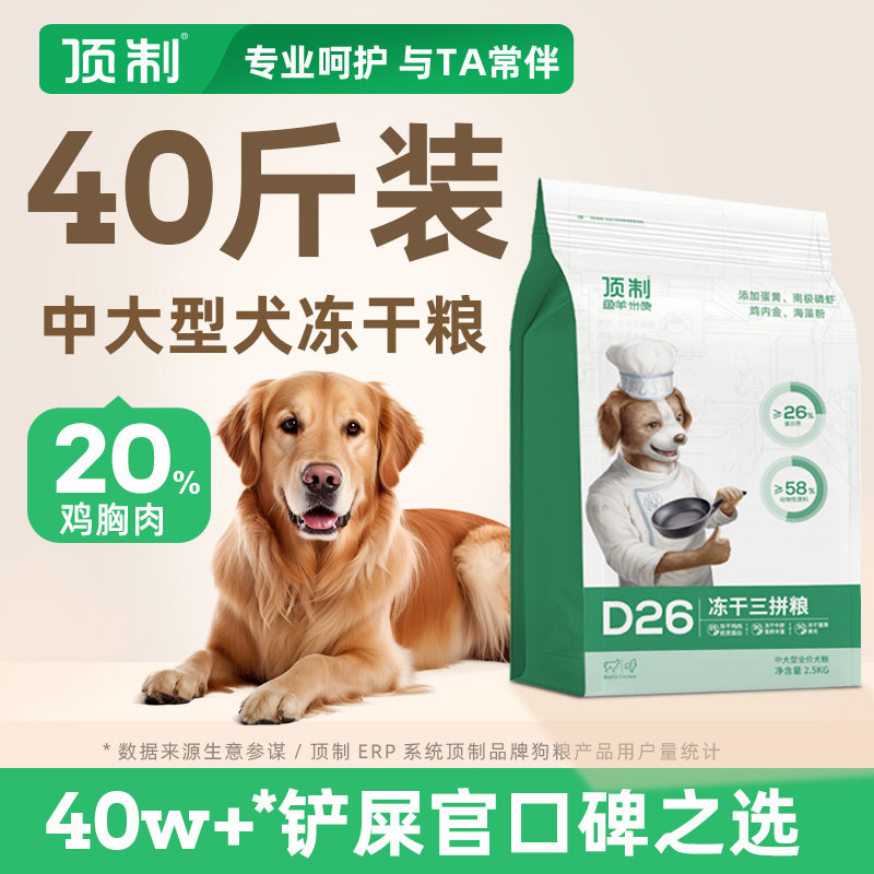 顶制大型犬金毛拉布拉多图片