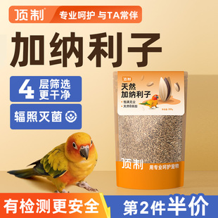 加纳利子鹦鹉粮虎皮玄凤牡丹专用饲料进口当季 优质营养白尖粟鸟食