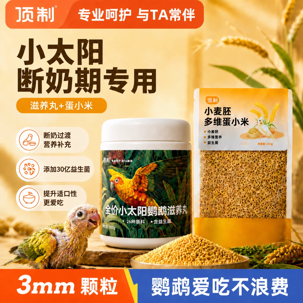 顶制小太阳鹦鹉断奶学吃滋养丸图片