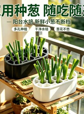 【每人限购一单！】家庭种植盒
