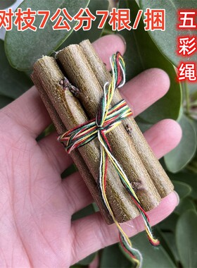 桃树枝7公分长7根红黄绿白黑五彩绳桃木摆件随身清明节端午节挂件