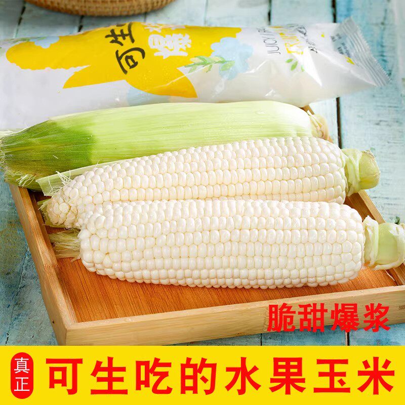 甜玉米可生吃即食爆浆牛奶玉米