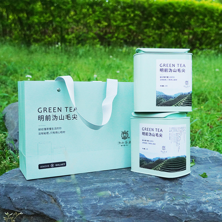 沩山明前绿茶毛尖茶叶特级春茶新茶高山云雾茶茶叶正品官方旗舰店
