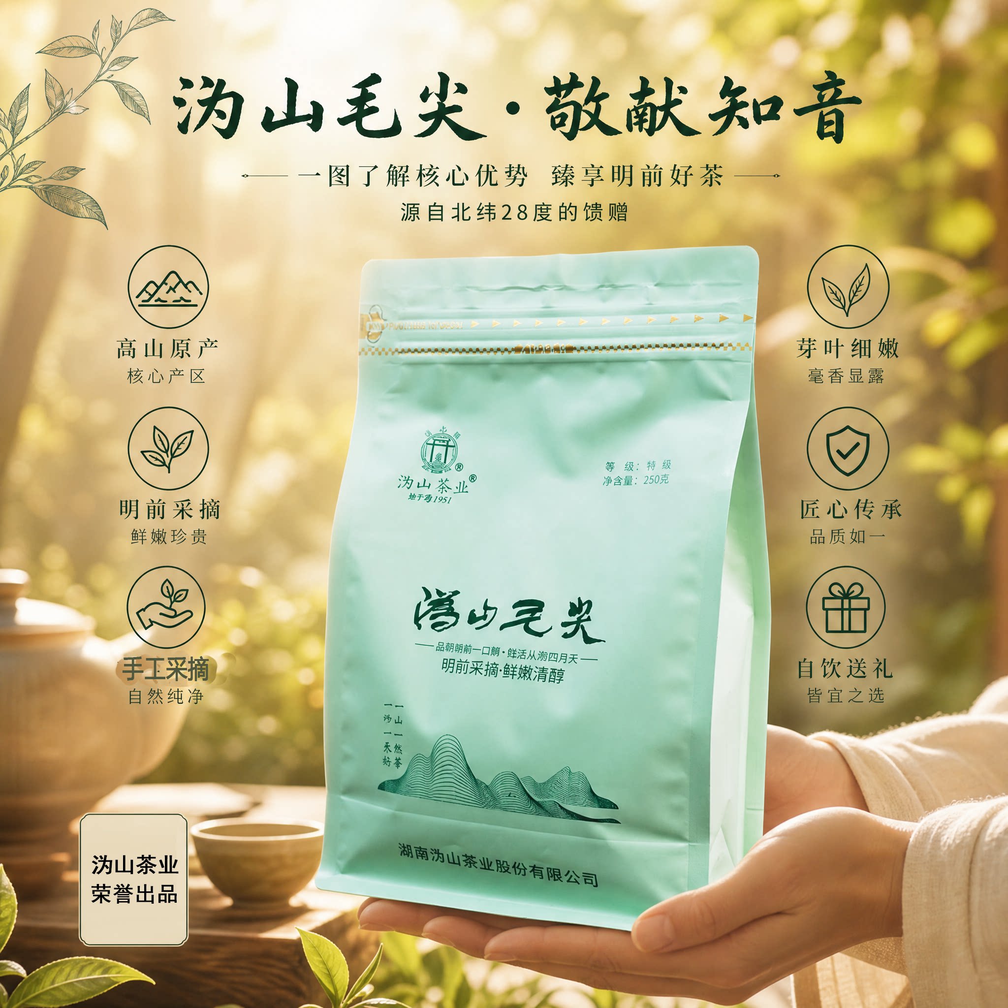 沩山炒青特级250g袋装明前春茶图片