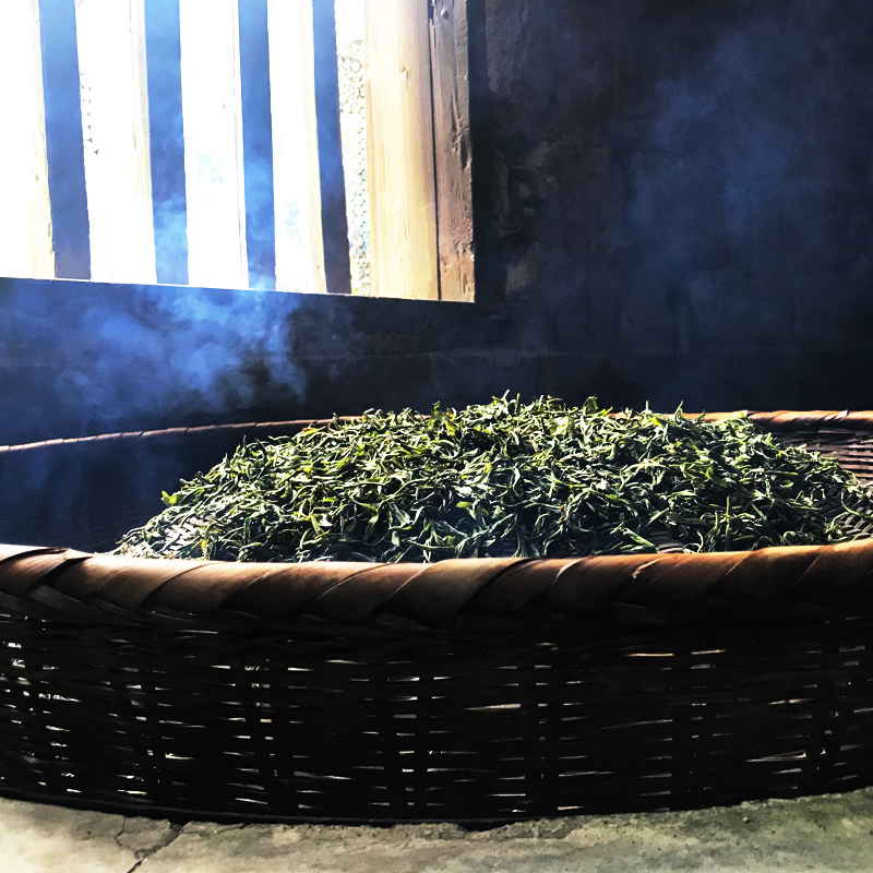 2023年新茶叶明前烟熏茶特级湖南特产宁乡沩山毛尖嫩芽半斤散装